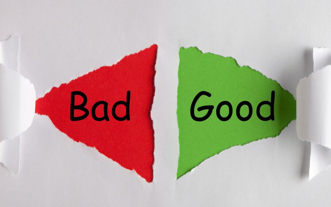 Good fat vs Bad Fat